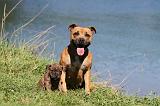 STAFFIE 057